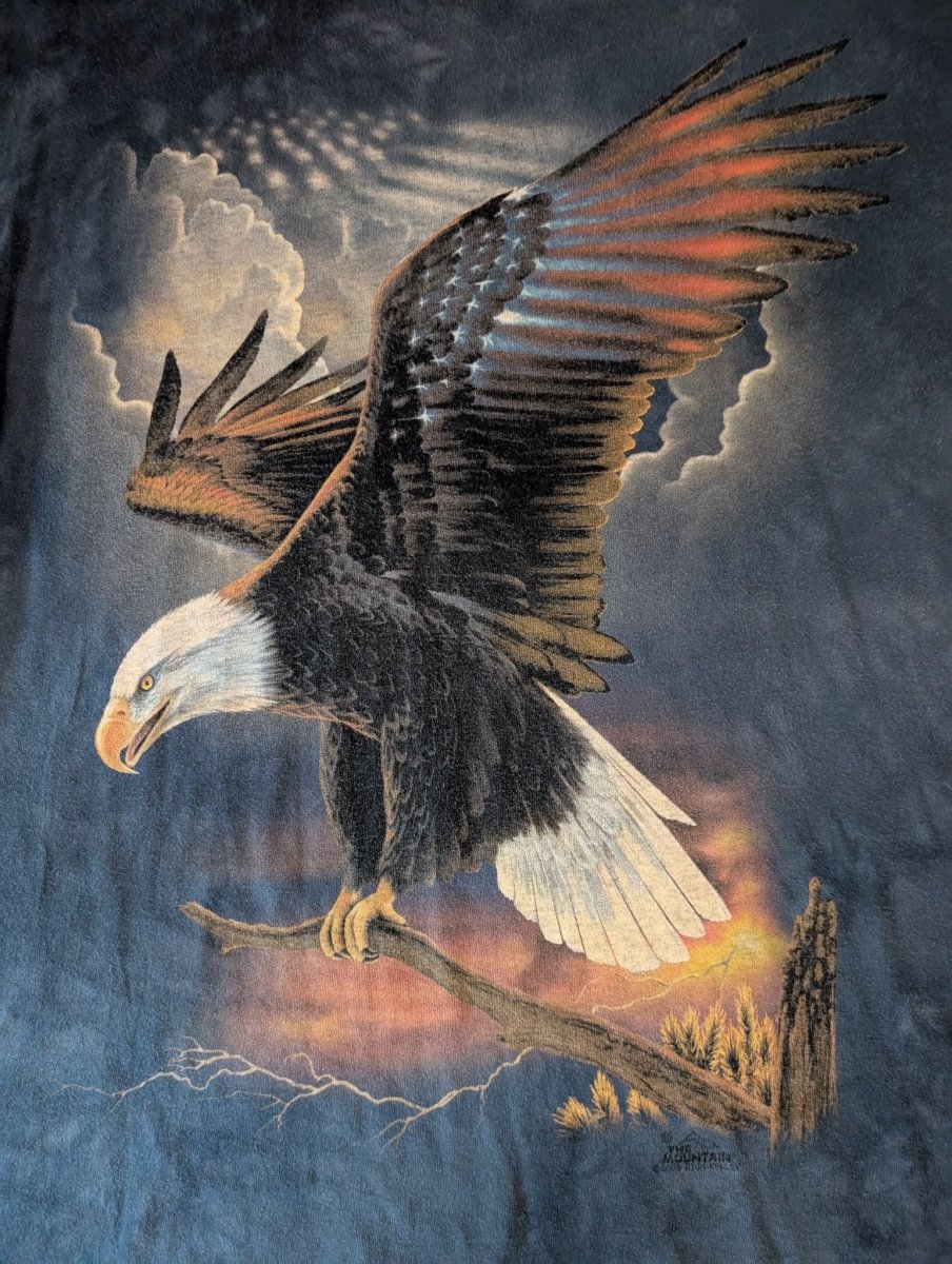 2000s Tie Dye Style Eagle T-Shirt - "The Mountain" - T-Shirts - ThrowbackBuys - Shiznit