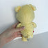 Care Bear Cousin Treat Heart Pig Plush 20th Anniversary