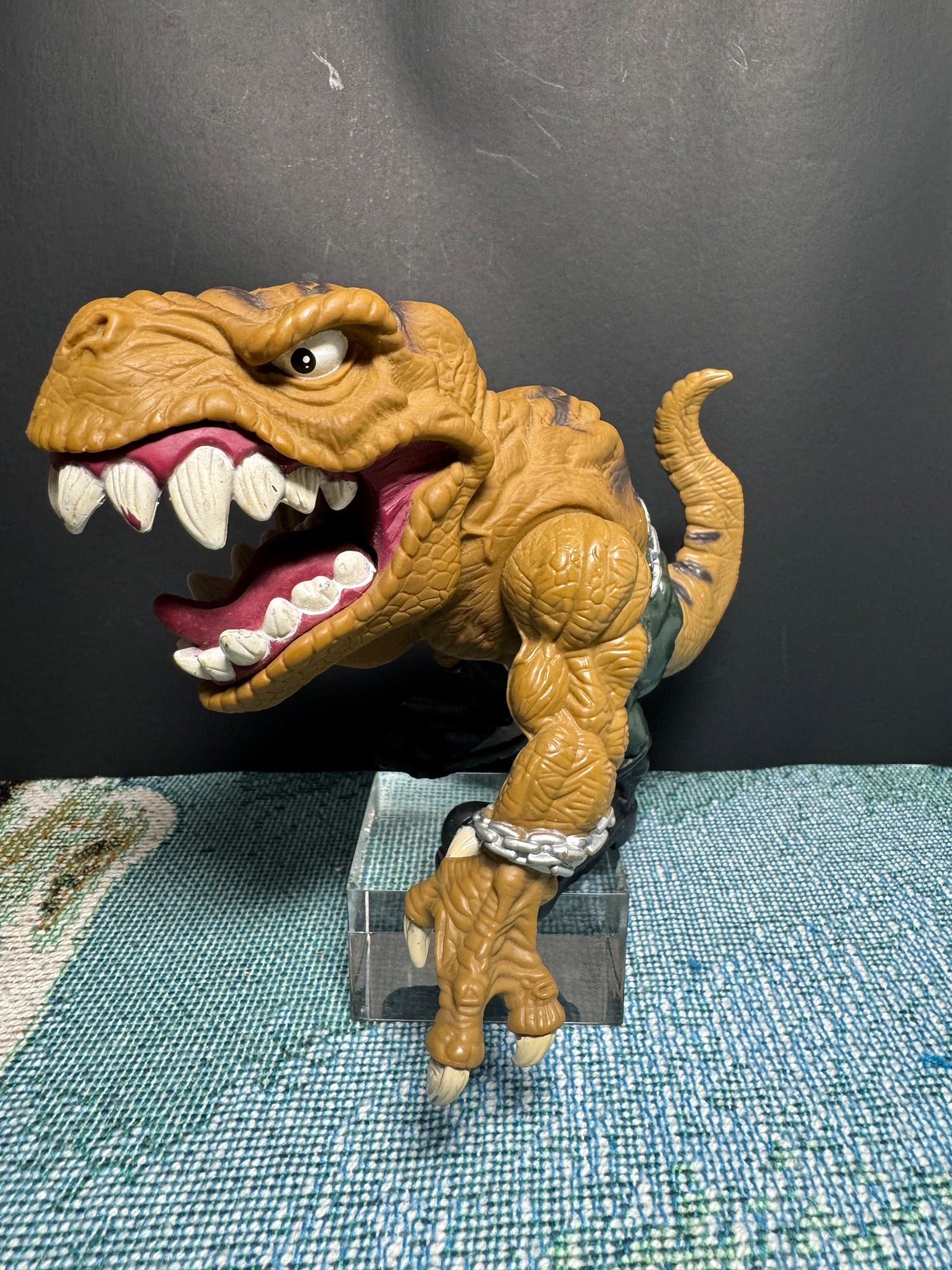 Extreme Dinosaurs T-bone