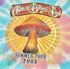 2004 - Allman Brothers Band: Ratdog Grateful Dead Tour Shirt - Large