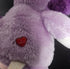 1984 Cousin Kenner Care Bear Bright Heart Raccoon 13" Stuffed Plush - Plushies - ThrowbackBuys - Cloy's Creativity