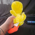 1989 Warner Bros Tweety Bird Plush 11" Stuffed Animal - Plushies - ThrowbackBuys - Cloy's Creativity