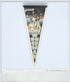 1990 - MLB Frank Thomas Chicago White Sox Felt Pennant Flag 30" x 12" - Sports Memorabilia - ThrowbackBuys - ThrowbackBuys