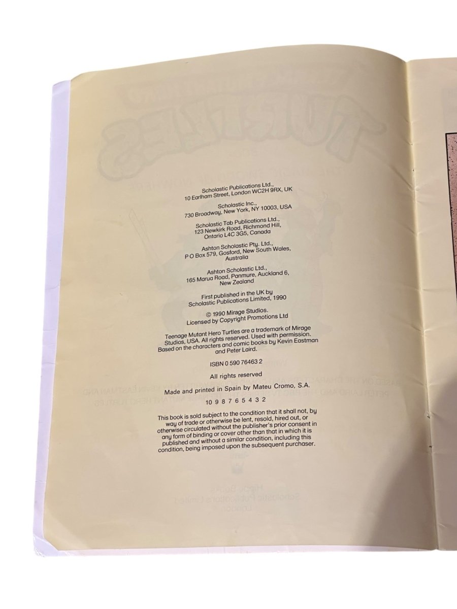1990 Teenage Mutant Ninja Turtles - The Magic Sword Of Nowhere - Books - ThrowbackBuys - Abunnysvintageco