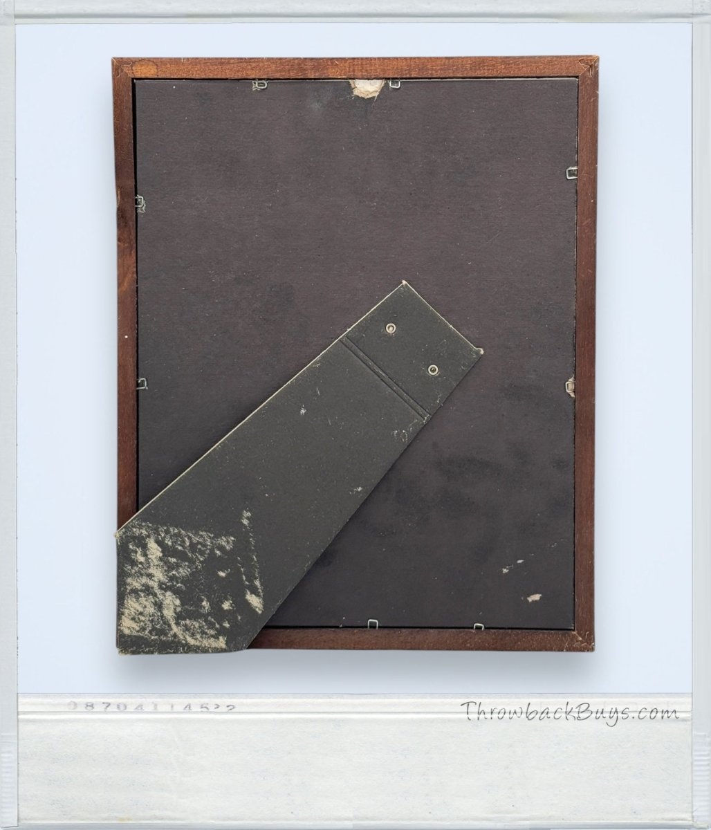 1990s - California Raisins Singing In Bathrub Framed Needlepoint Art - Artwork - ThrowbackBuys - ThrowbackBuys