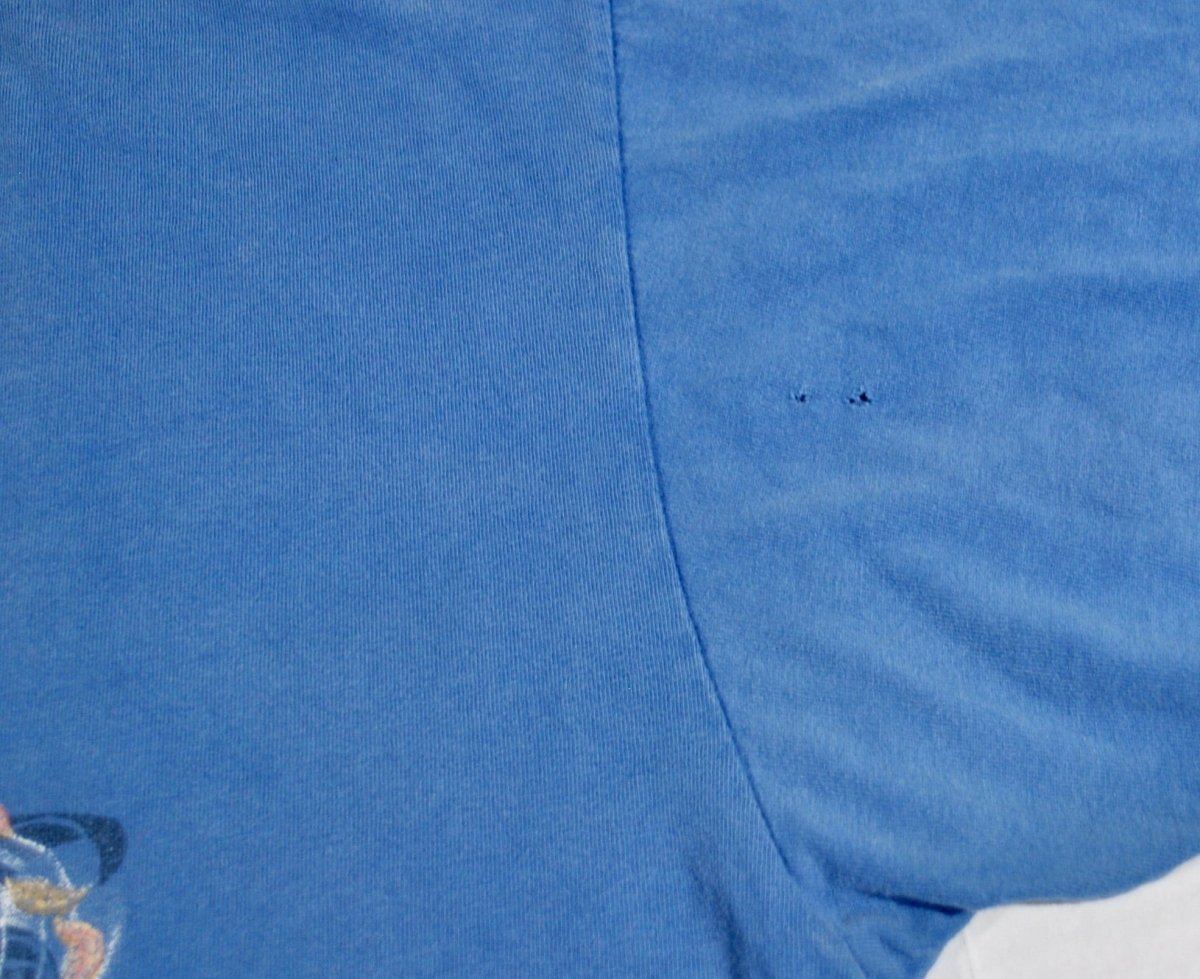 1990s - Disney's Pocahontas: T-Shirt - XL - T-Shirts - ThrowbackBuys -Yesterday's Attic