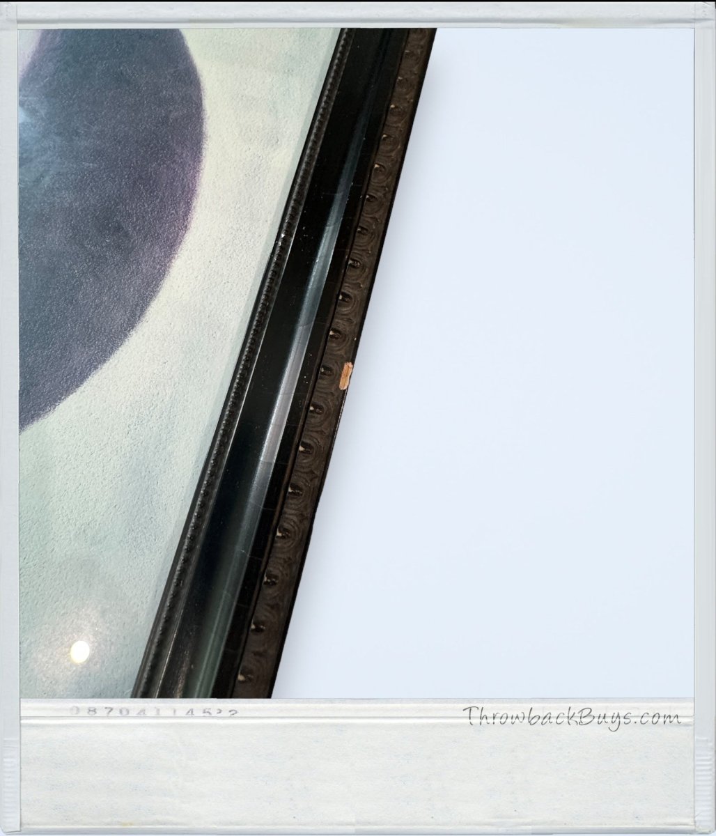 1990s - Hulis Mavruk's African American Collection: Malcom X Framed Painting 25" x 20.5" - RARE - Artwork - ThrowbackBuys - ThrowbackBuys