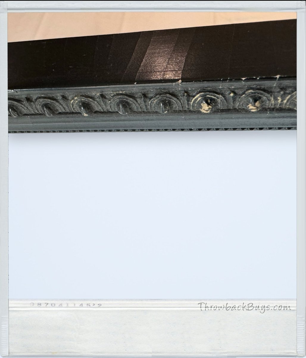 1990s - Hulis Mavruk's African American Collection: Martin Luther King Jr. Framed Lithograph Painting 25" x 19" - RARE - Artwork - ThrowbackBuys - ThrowbackBuys