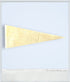 1990s – NBA Anfernee "Penny" Hardaway Orlando Magic Felt Pennant Flag 30" x 12" - Sports Memorabilia - ThrowbackBuys - ThrowbackBuys