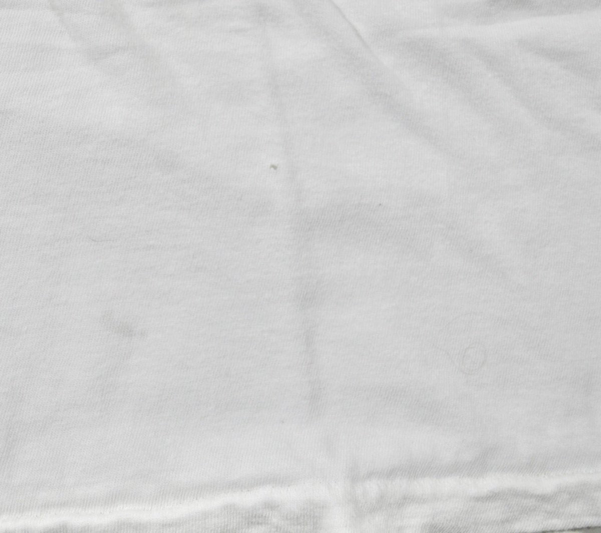 1990s - Warner Bros.: Wizard of Oz Dorothy Stanley DeSantis Shirt - Small - T-Shirts - ThrowbackBuys -Yesterday's Attic