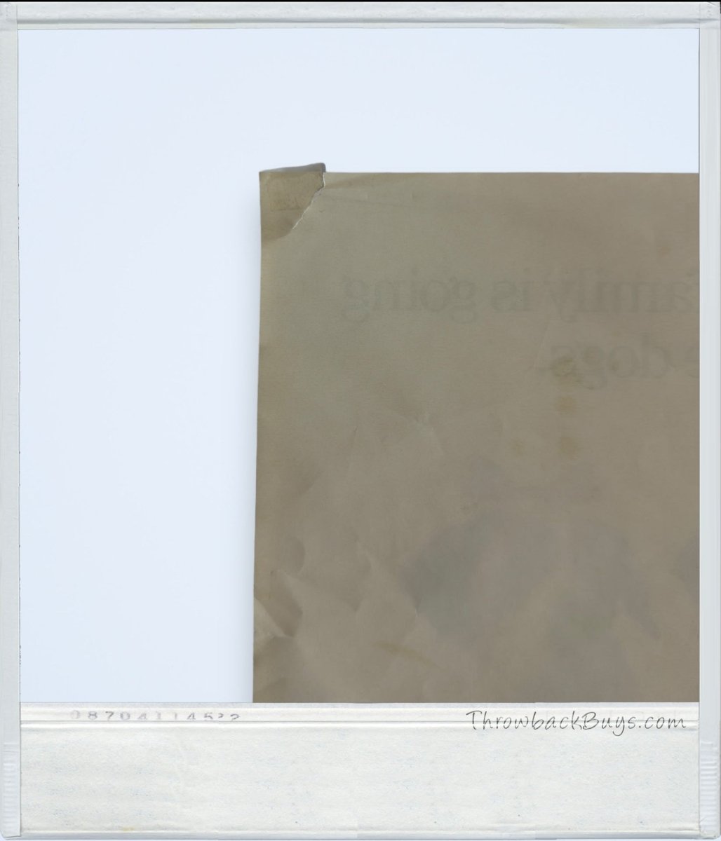 1994 - Scholastic Book Fair - Beethoven's 2nd Movie Poster 17" x 11" - Posters - ThrowbackBuys - ThrowbackBuys