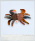 1996 - Beanie Babies Collection: Claude & Mini Claude - Collectible Toys - ThrowbackBuys - ThrowbackBuys