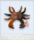 1996 - Beanie Babies Collection: Claude & Mini Claude - Collectible Toys - ThrowbackBuys - ThrowbackBuys