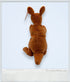 1996 - Beanie Babies Collection: Pouch the Kangaroo - Collectible Toys - ThrowbackBuys - ThrowbackBuys