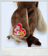 1998 - Beanie Babies Collection: Wise The Owl - Collectible Toys - ThrowbackBuys - ThrowbackBuys
