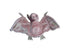 1999 'Batty the Bat' Beanie Baby - Collectible Toys - ThrowbackBuys -Shiznit