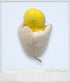 1999 - Beanie Babies Collection: Eggbert - Collectible Toys - ThrowbackBuys - ThrowbackBuys
