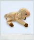 1999 - Beanie Babies Collection: Ewey - Collectible Toys - ThrowbackBuys - ThrowbackBuys