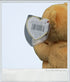 1999 - Beanie Babies Collection: Hope The Praying Bear - Collectible Toys - ThrowbackBuys - ThrowbackBuys