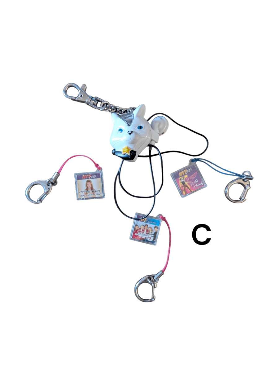2000s Hit Clips Bundles - Portable Audio - ThrowbackBuys - shiznit