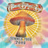2004 - Allman Brothers Band: Ratdog Grateful Dead Tour Shirt - Large - T-Shirts - ThrowbackBuys -Yesterday's Attic