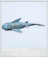 2007 - Matchbox Accessory - 11" Shark Figure (Mega Rig Shark Adventure Accessory) - Toy Accessories - ThrowbackBuys - Slaqr Retro Gaming & Collectibles