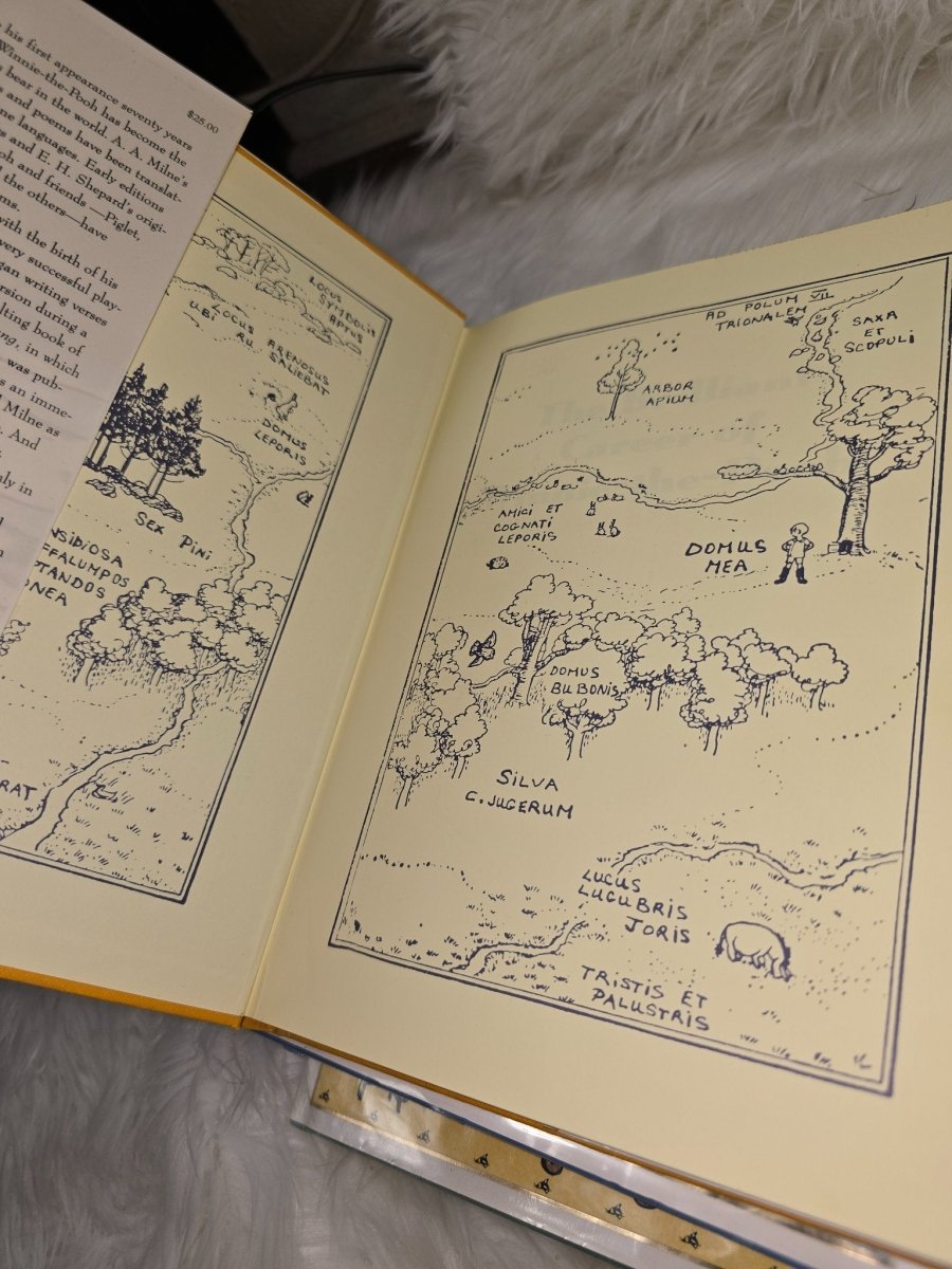 5 Rare Books Of Winnie The Pooh Disneyana Poems And Tales 1998 - Books - ThrowbackBuys - The Thrifty Gypsyy Shop