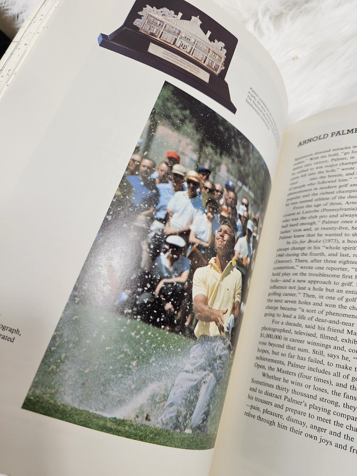 1981 - Champions of American Sport by Marc Pachter, Mission Leather Hardcover