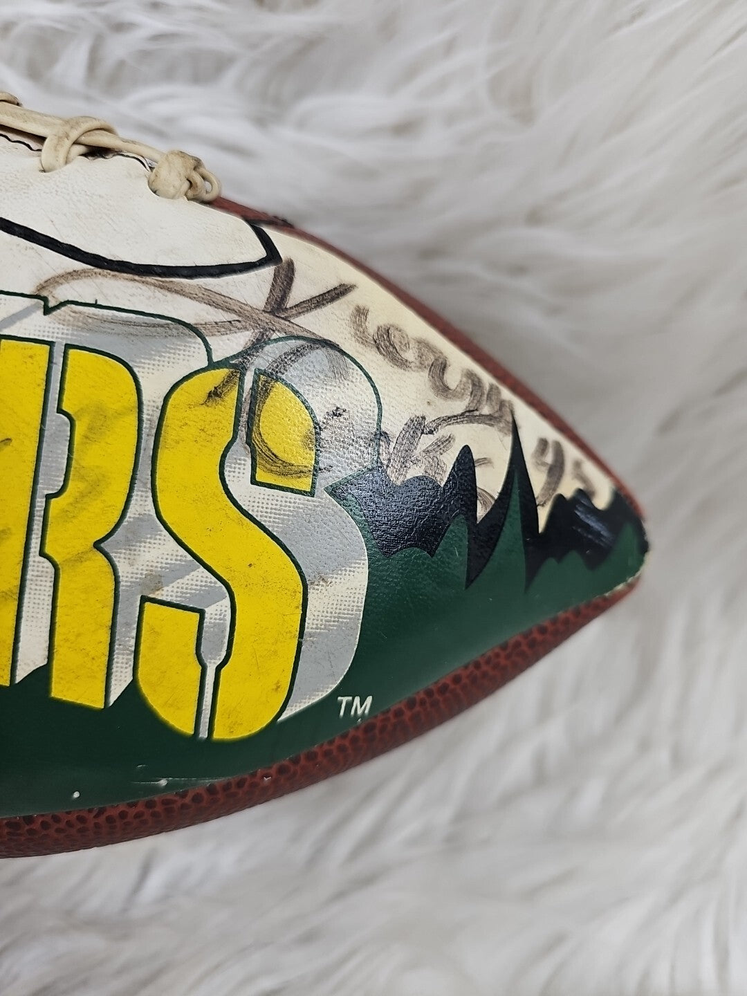 Green Bay Franklin Grip Rite PACKERS Signed Ball FOOTBALL NFL Autograph Official