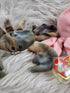 Vintage - Beanie Babies Collection: Inky The Octopus, Jolly The Walres And Claude The Crab w/Errors