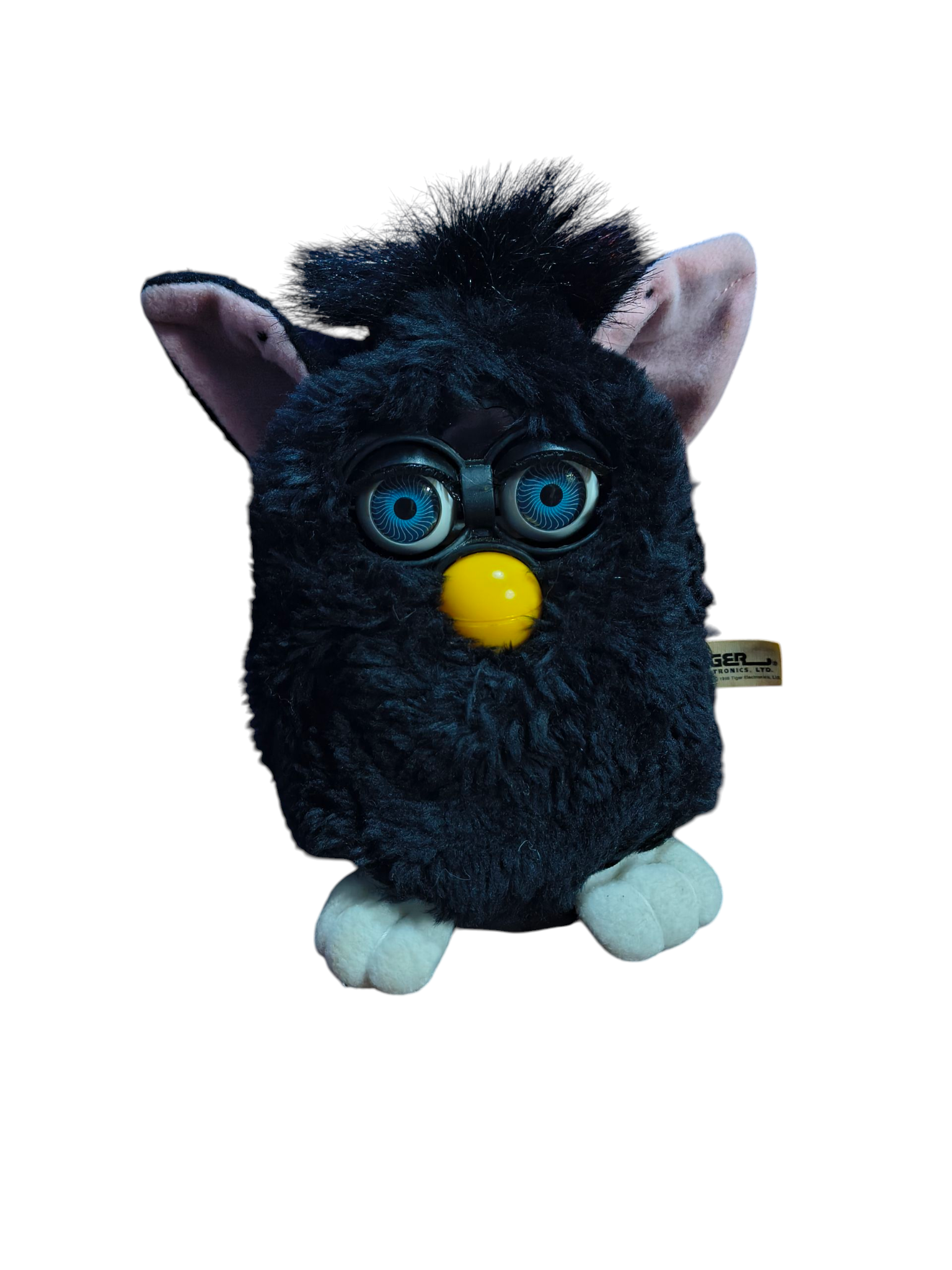66d8ebebb4f1f55b934ddf74_1000002037_1752144402100.png
