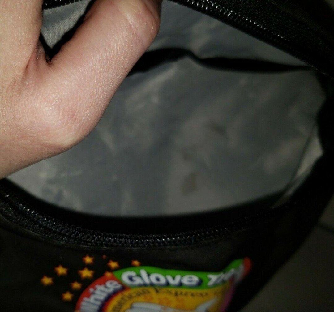 Disney's Animal Kingdom Grand Opening Fanny Pack And Inkpen