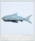 2007- Matchbox Accessory - 11" Shark Figure (Mega Rig Shark Adventure Accessory) - 1