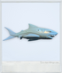 2007- Matchbox Accessory - 11" Shark Figure (Mega Rig Shark Adventure Accessory) - 3