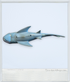 2007- Matchbox Accessory - 11" Shark Figure (Mega Rig Shark Adventure Accessory) - 4