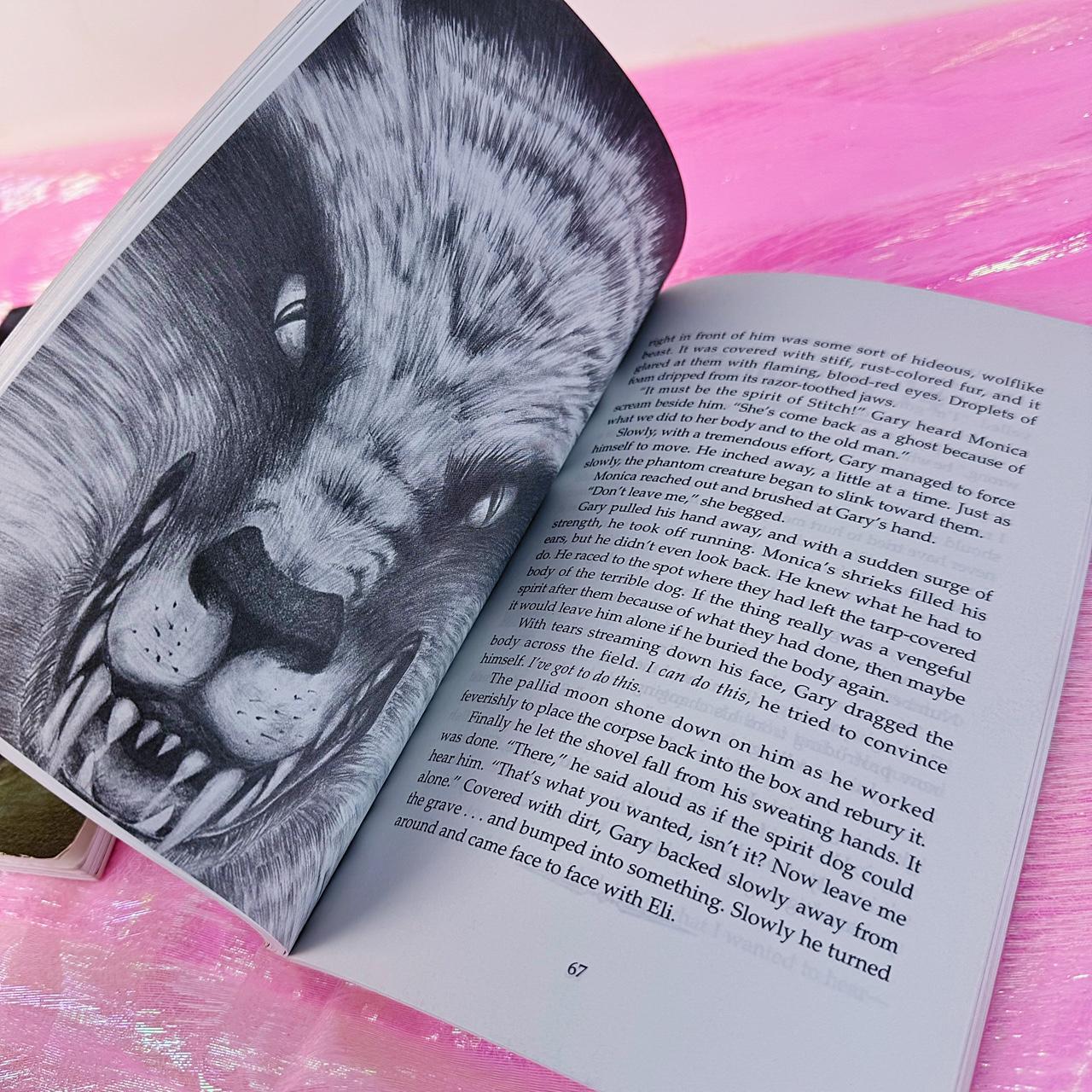 Scary Stories to Tell in the Dark Book Set – Vintage 90s Horror Paperbacks