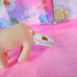 Babe the Pig Small Plush Toy – 1998