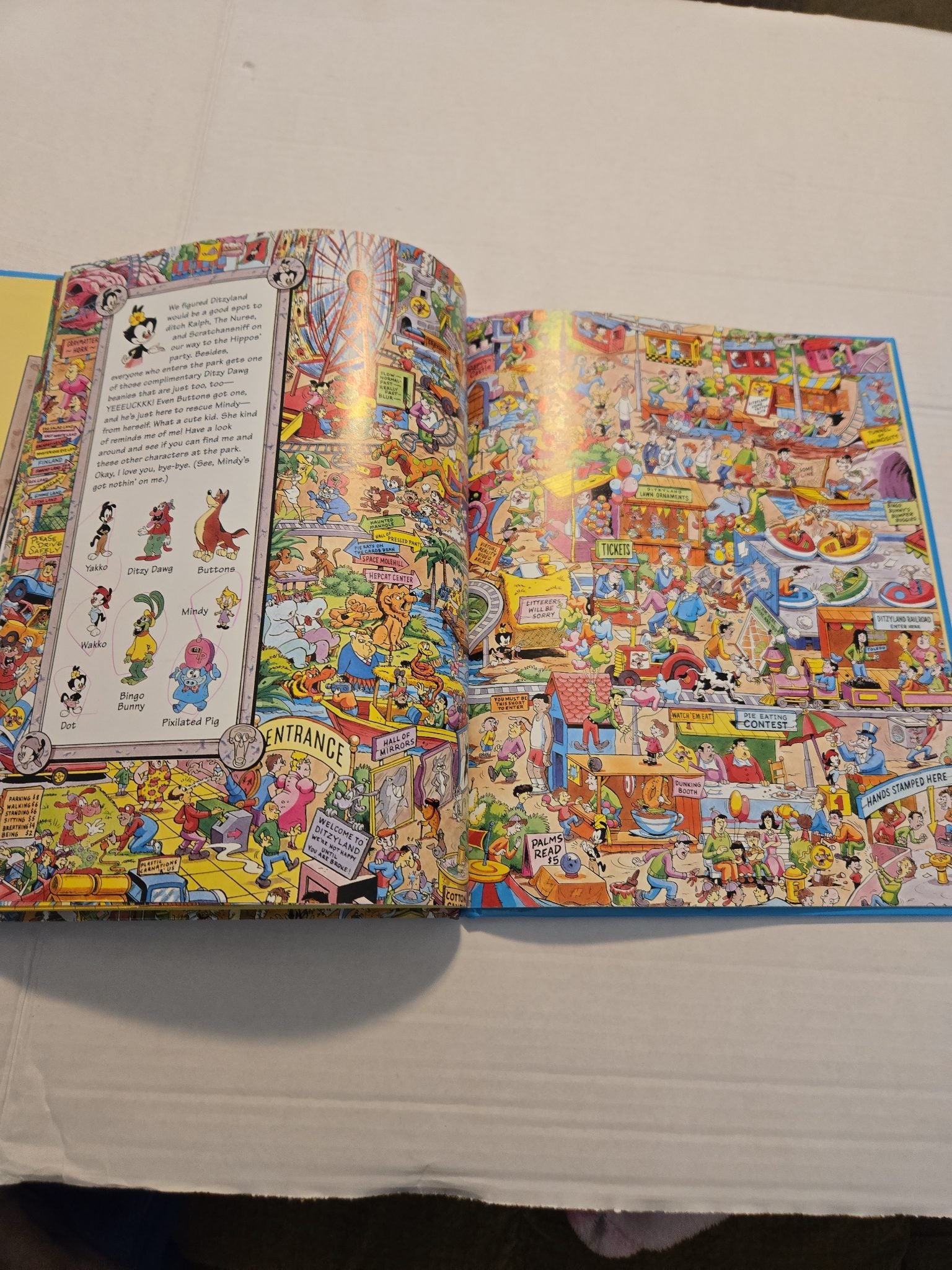 Vintage 1994 Look And Find Animaniacs Hardcover Book