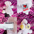 Vintage 2005 Webkinz Pig Plush Lot - Ganz Pig and Lil Kinz