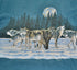 1990s - Wolf 1991 Shirt - Unisex Large