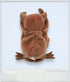 1996 - Beanie Babies Collection: Batty w/PVC Pellets and Major Error - RARE