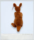 1996 - Beanie Babies Collection: Pouch the Kangaroo