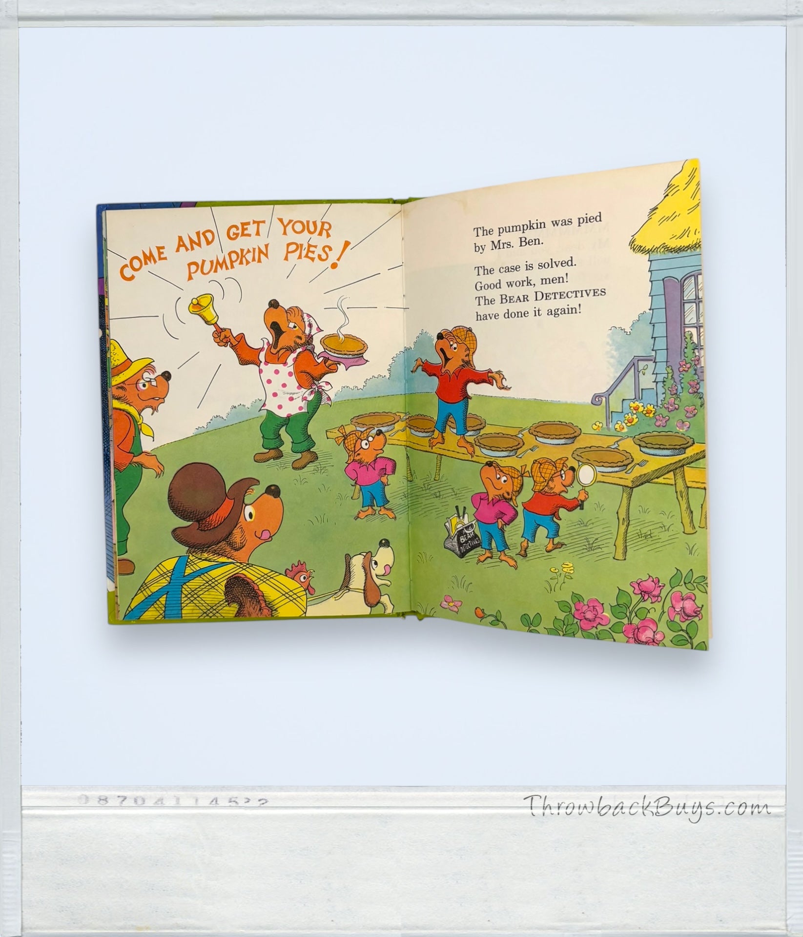 Vintage - Berenstain Bears: The Bear Detectives
