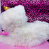 Vintage 2004 Barbie Serafina Plush Cat - Life Size 32”