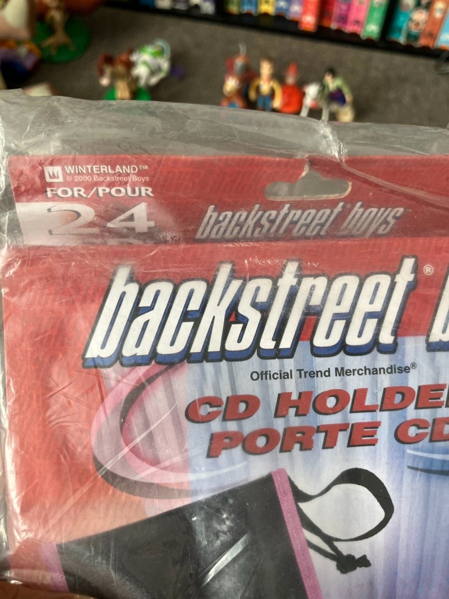 Backstreet Boys CD Holder - Storage - ThrowbackBuys - The Rickstalgia Shop