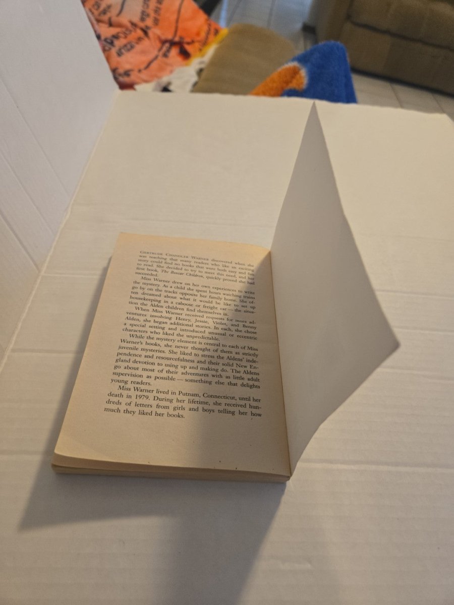 Boxcar Children Mysteries The Panther Mystery 66 Paperback Book - Books - ThrowbackBuys - Amanda's Awesome Finds