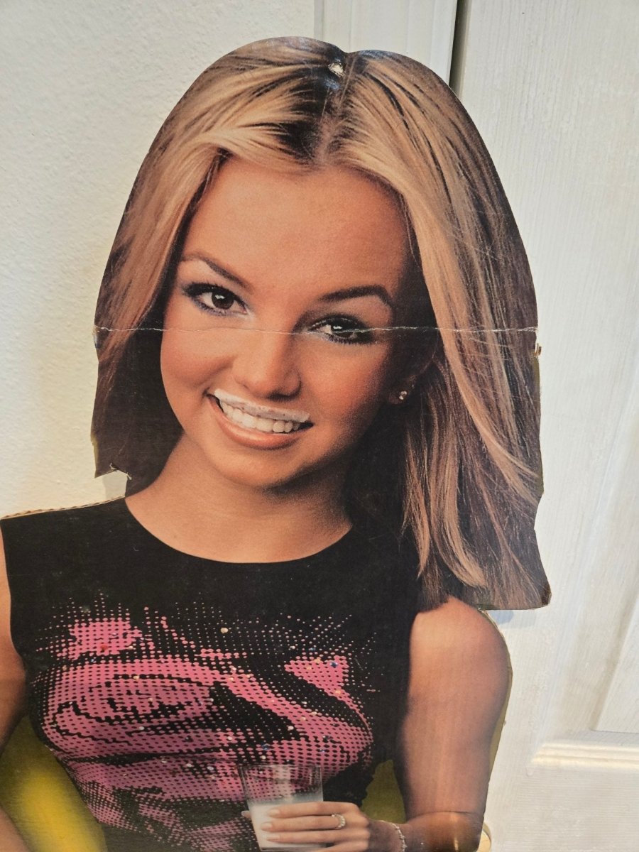 Britney Spears Got Milk? Ad Vintage Y2K Cardboard Cutout - Paper Goods - ThrowbackBuys - Amanda's Awesome Finds