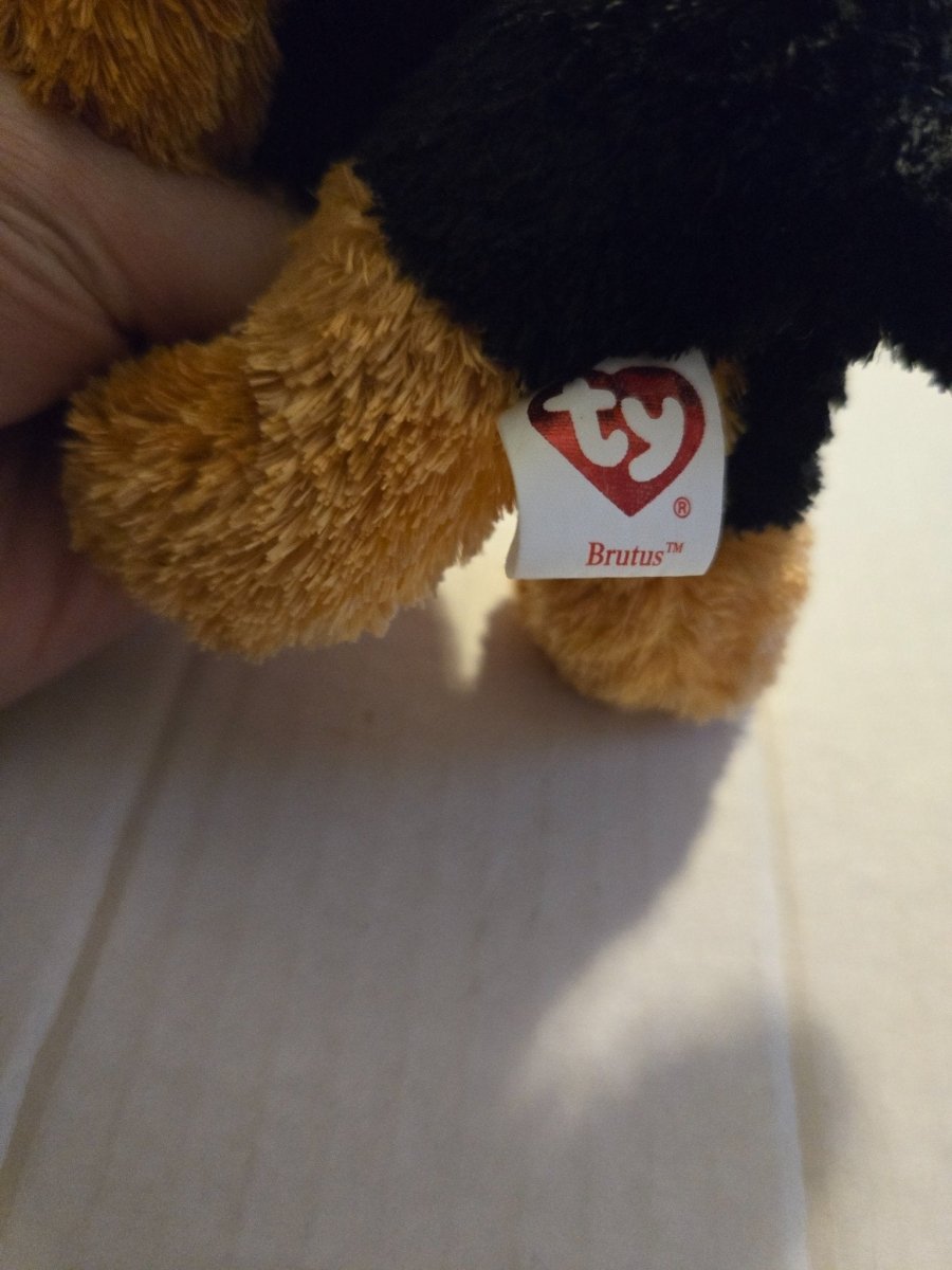 Brutus Ty Beanie Baby 2006 - Plushies - ThrowbackBuys - Amanda's Awesome Finds