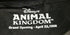 Disney's Animal Kingdom Grand Opening Fanny Pack And Inkpen - Accessories - ThrowbackBuys - Amanda's Awesome Finds