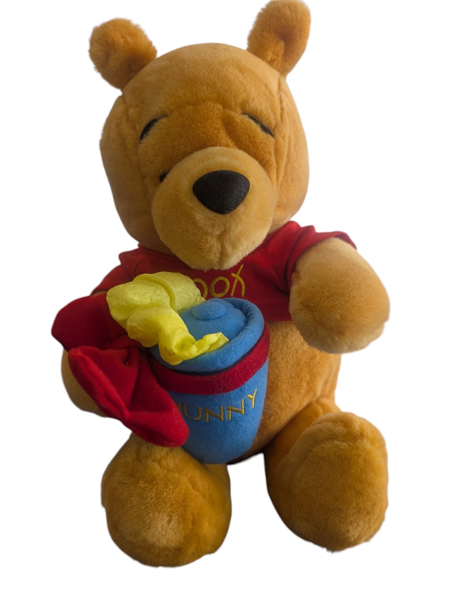 Winnie the Pooh Rattle Plush - Disney - (1997-2000)